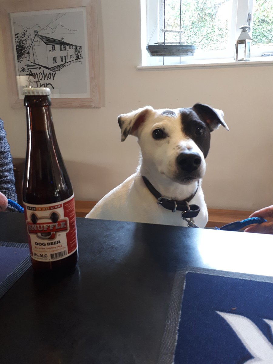 Got the #FridayFeeling but need to walk the #dogs ? End your walk here and enjoy a pint of #Organic #CraftBeer from @ExeterBrewery while the dogs enjoy a @SnuffleDogBeer on #NationalBeerDay ! #Dartmoor #dogfriendly #pubs #CheersToBeer #beeroclock https://t.co/Zf8OHcS25S