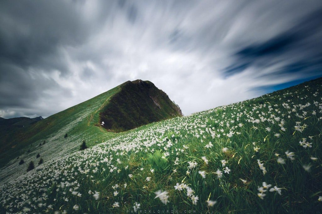 Stand Up for Europe tweet media