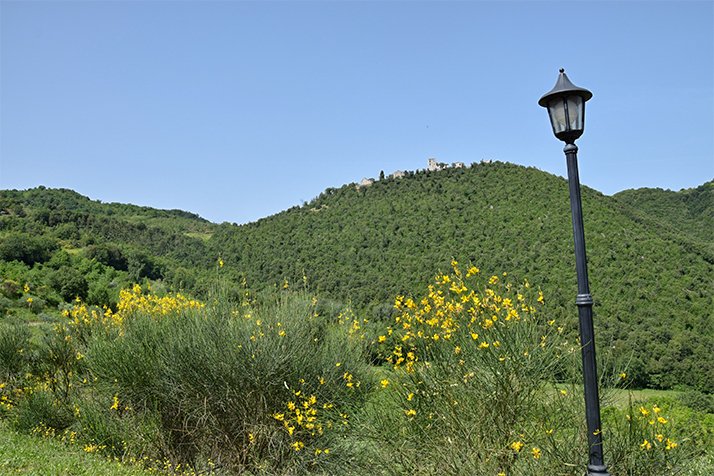 ag_lafonte's tweet photo. #ginestre e prati in #fiore @ag_lafonte #agriturismo.
Venite a trovarci!
Vi aspettiamo! https://t.co/O1PiJS0e2E