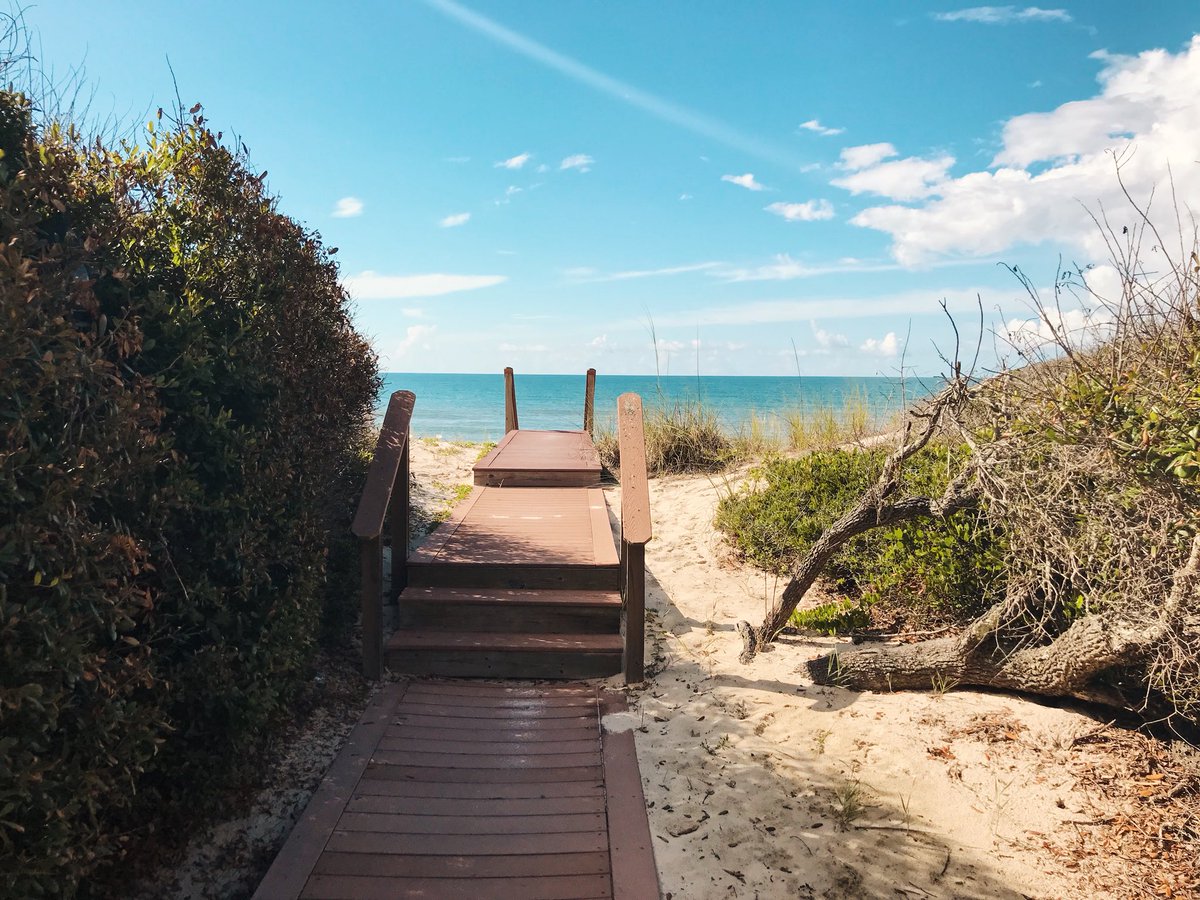 Pathway to Paradise 🌊🏝

#florida #beachday #sun #sand #surf #beautifulscenery #stgeorgeisland #landscape #jmloudermilkphotography