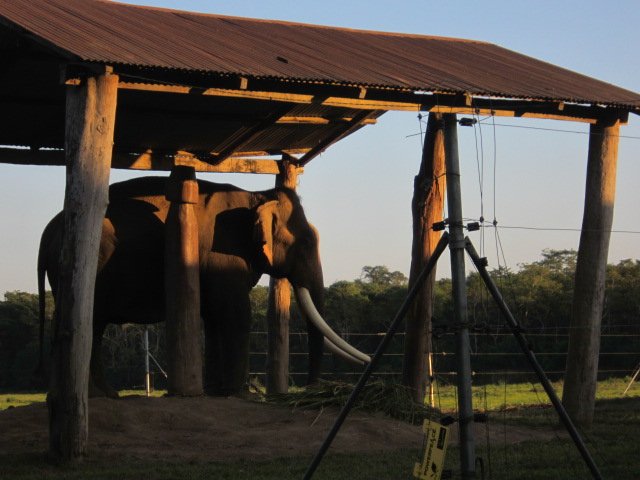 TreksFun's tweet image. Well Come to Trekking &amp;amp; tour in Nepal
Free fun treks organize Trekking and peak climbing in The Everest or Solu Khumbu region freefuntours.com/everest-3-high…
freefuntours.com/annapurna-cult……/
freefuntours.com/12-days-tamang……/
freefuntours.com/upper-dolpo-tr…
freefuntours.com/makalu-base-ca…
freefuntours.com/kathmandu-chit…