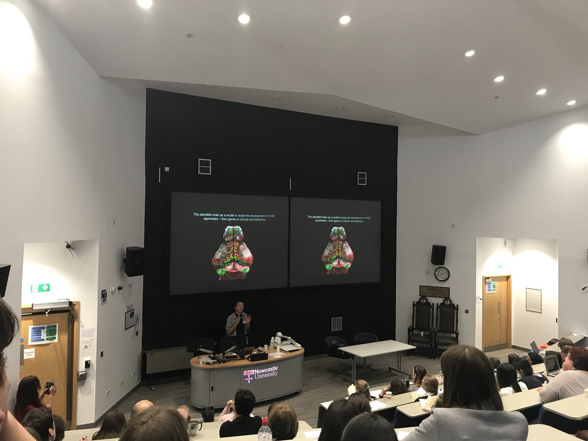 CGM_NCL's tweet photo. A fantastic journey through brain asymmetry by Steve Wilson. #nclfpos https://t.co/h1K6uIi6To