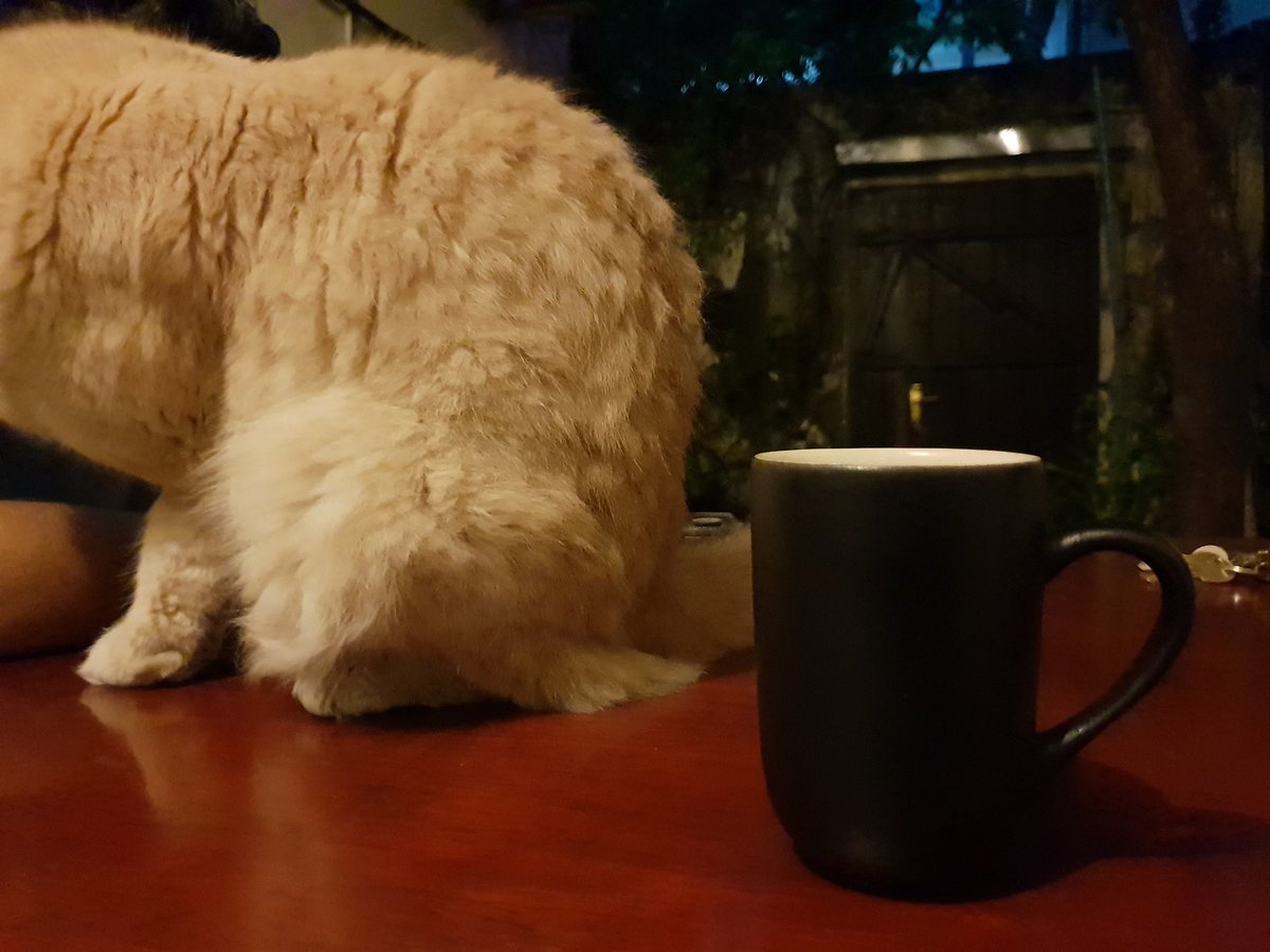 Sharaff__'s tweet photo. Eid coffee w/ @fezu, @the_illa and #Fobby.
Thankyou dear #Fezu n #Illa https://t.co/yjCDy892BU