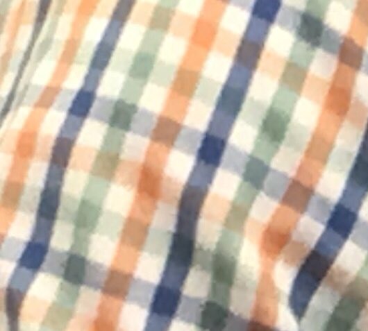 SciEdKlein's tweet photo. Continuing the journey into 3-Dimensional learning and the new NGSX Elementary pathway with the ever fashionable @richbacolor  #NerdGSS https://t.co/yY1SbfTwzw
