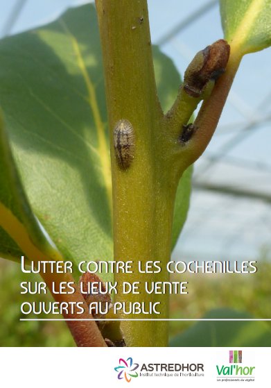 val_hor's tweet photo. Publication d'un guide de lutte contre les cochenilles sur les points de vente par @astredhor pour @val_hor https://t.co/YAlGTHGPtU https://t.co/B0r1ELApsW