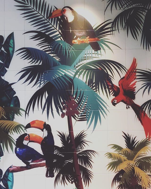 An urban jungle that makes you very happy at a Friday afternoon! A new hotspot has come to de Neude square... Let us introduce @thejackrabbit_nl . Sit down at the large terrace or go inside and sit down with a cocktail at their lovely pink-ish bar! Did w… ift.tt/2t0Fgxk