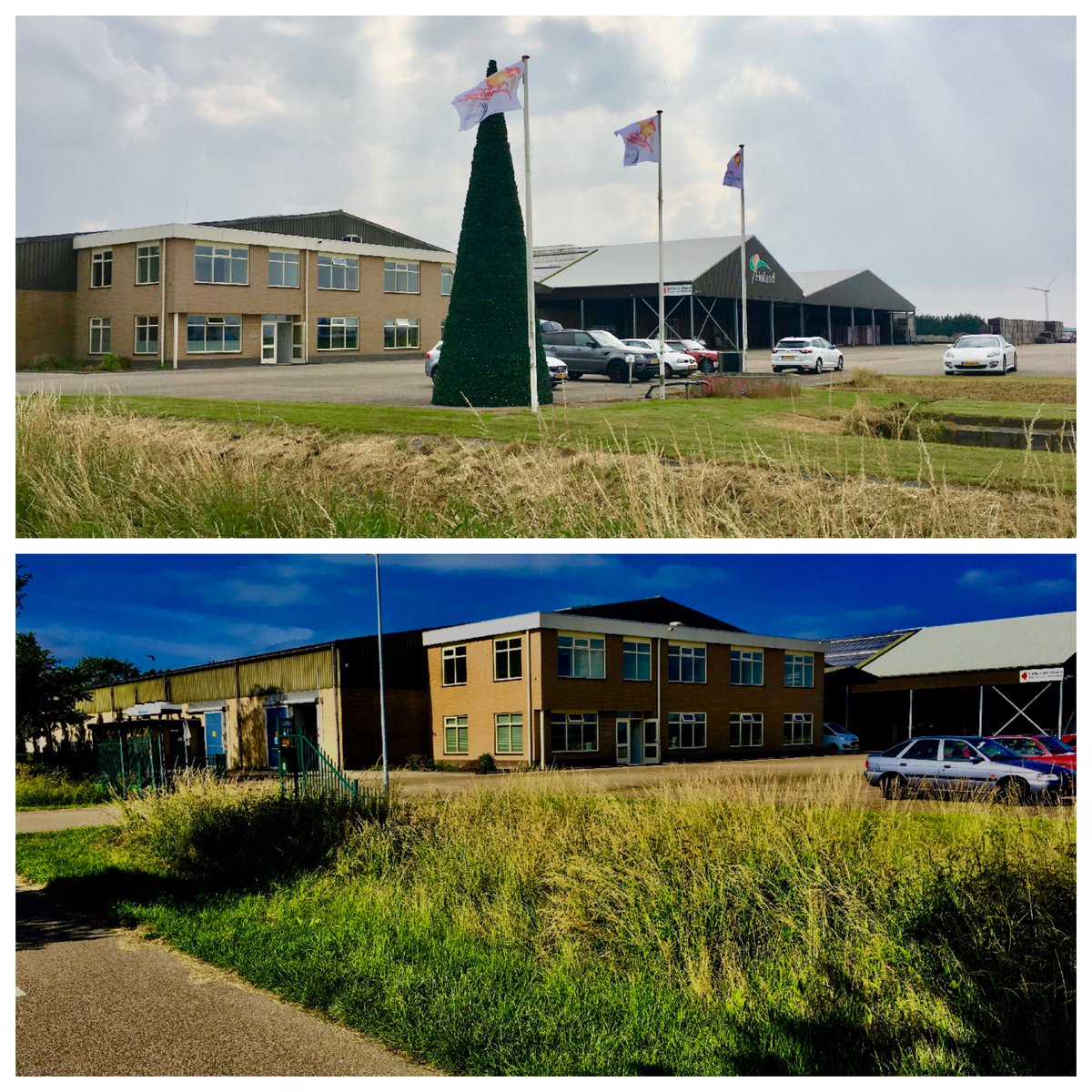 Hoe maak je je nieuwe kantoor tot je nieuwe 'thuis' in 3...2...1... 🌲📷