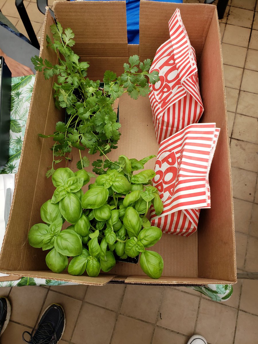 MrsTerrysELA's tweet photo. Breed's Life Skills class has amazing plants in their Greenhouse! Such green thumbs! #breedkidsrock https://t.co/CmCiy75ciF