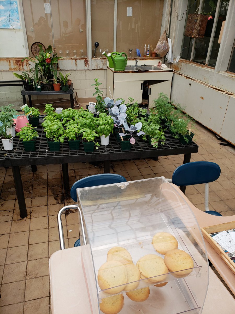 MrsTerrysELA's tweet photo. Breed's Life Skills class has amazing plants in their Greenhouse! Such green thumbs! #breedkidsrock https://t.co/CmCiy75ciF