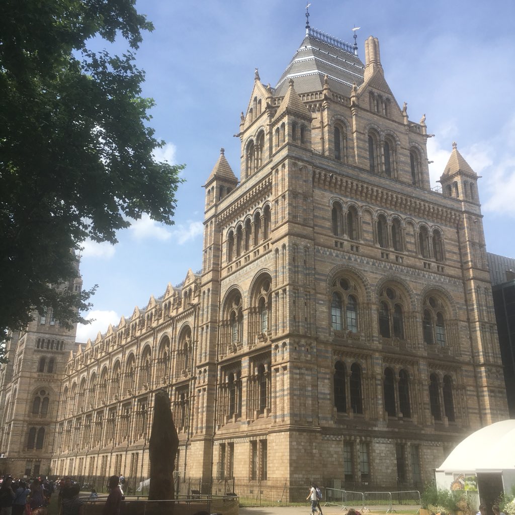MudflatMatt's tweet photo. Going wild @NHM_London for day 15 of #30DaysWild https://t.co/9CEioWxNVv