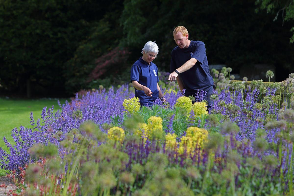 SconePalace tweet media