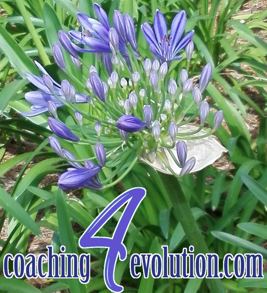 coaching4evo's tweet photo. "La flor del amor solo puede florecer cuando no hay ego, cuando no intentas dominar, cuando eres humilde, cuando no estás intentando ser alguien sino que estás dispuesto a no ser nadie."
OSHO
#primavera #CoachingWorld #coaching #coaches #desarrollopersonal #coaching4evolution https://t.co/Q0pSAHDNan