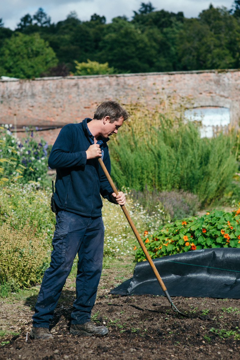 SconePalace tweet media