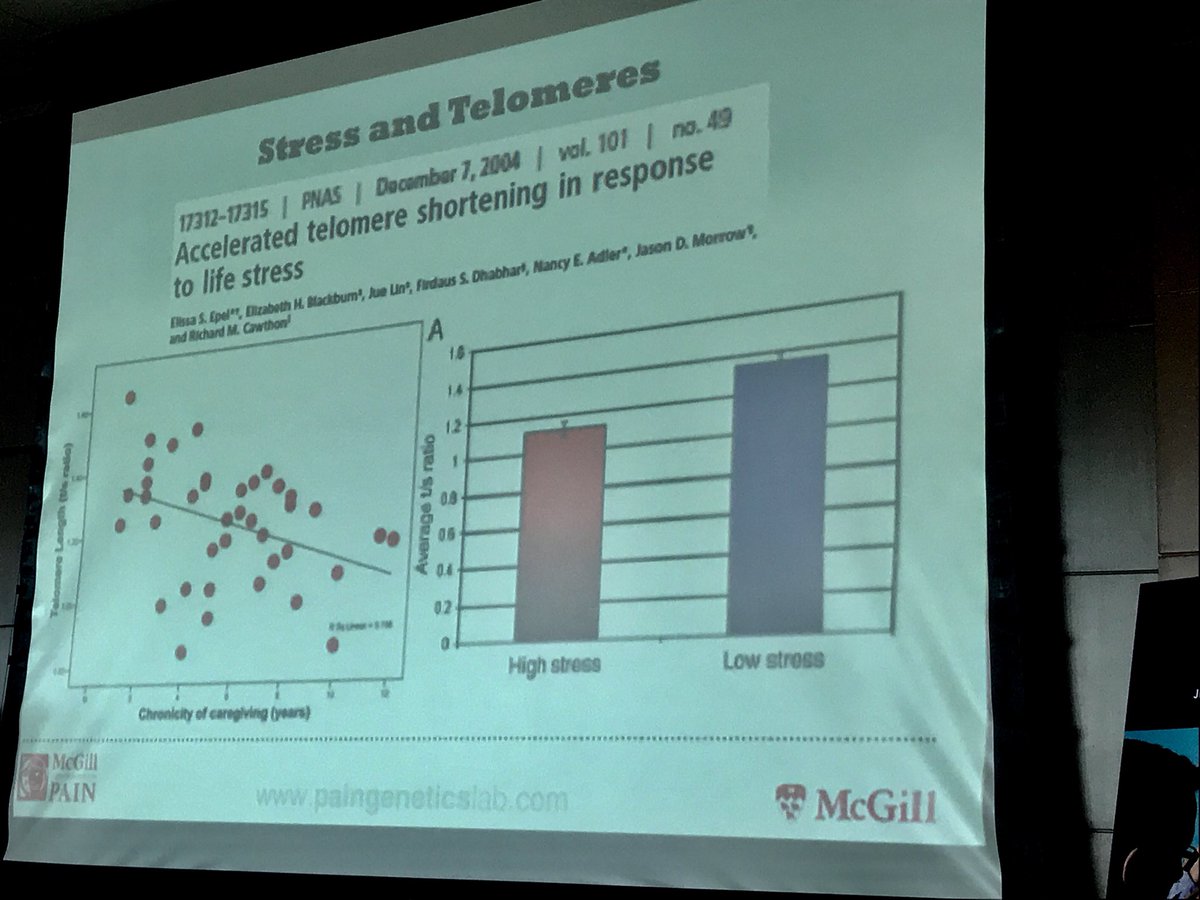 Life stress affects (mice) at the chromosomal level: strong enough evidence to prove importance of stress management? You never know what you will learn to #PedsPMC!