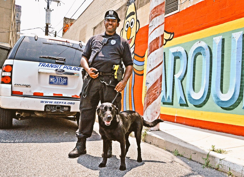 K9 Jase tweet media