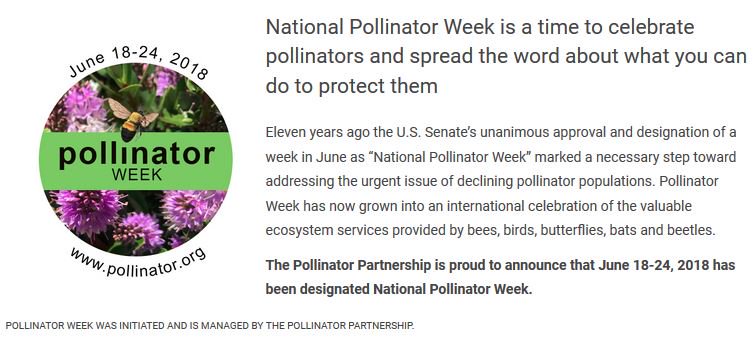 It's #PollinatorWeek 2018! Find events near you, and find out what you can do to help protect pollinators! 🐝<a href="/Pollinators/">Pollinator Partnership</a> <a href="/BeeCityCanada/">Bee City Canada</a> <a href="/xercessociety/">The Xerces Society</a> pollinator.org/pollinator-week