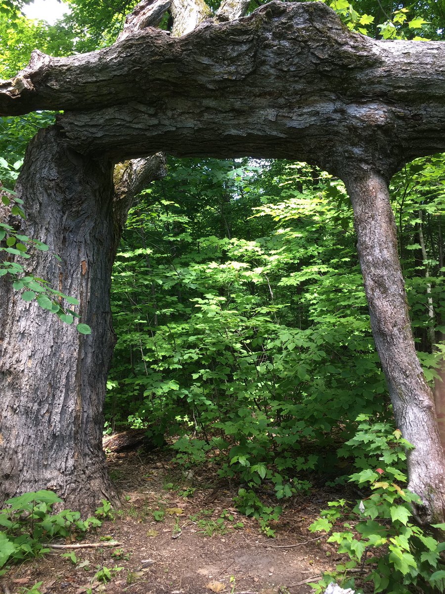 SpatulaJ's tweet photo. So many great places to explore right in and around Ottawa! Beautiful sunny morning at Mer Bleue Bog Trail #merbleue #exploreON https://t.co/vYDTdjJsFU
