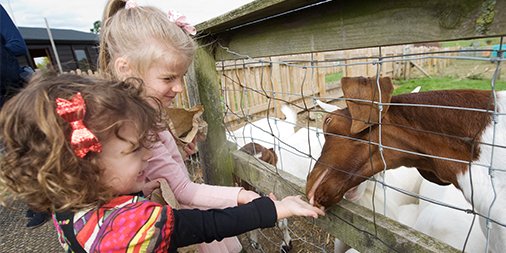 LeeValleyPark's tweet photo. Visit @LeeValleyFarms this weekend and learn all things farming! Plus Dads go FREE for Father's Day β¨π #FarmingWeekend https://t.co/SPG8BDJNHj https://t.co/Dhgd3kvJgd