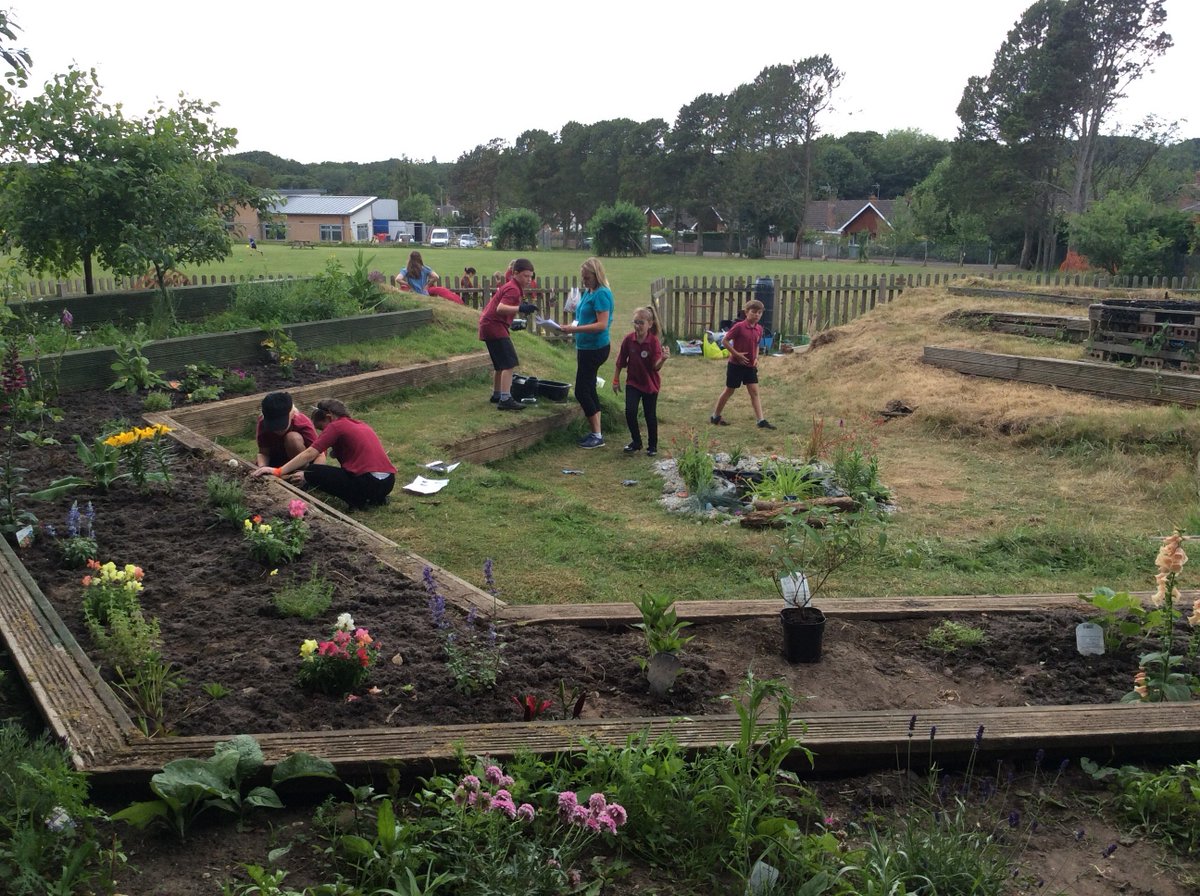 headtaverham's tweet photo. Nature club in action. Can you spot the frog in the pond?What a great job they’ve done rescuing the wildlife area-a big thank you to Mrs Jacks and Mrs Nabarro, and the PTFA for help buying plants etc. https://t.co/V5cNVvlefS