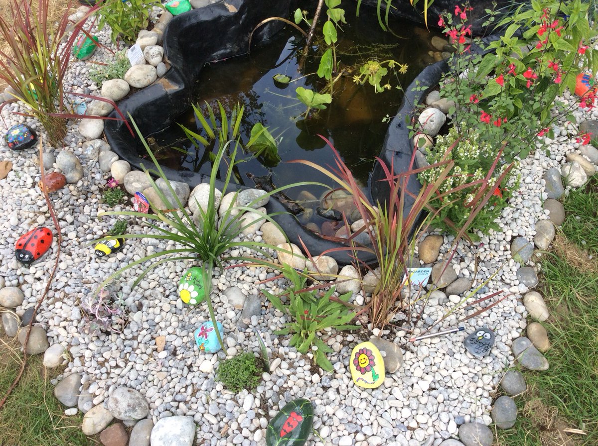 headtaverham's tweet photo. Nature club in action. Can you spot the frog in the pond?What a great job they’ve done rescuing the wildlife area-a big thank you to Mrs Jacks and Mrs Nabarro, and the PTFA for help buying plants etc. https://t.co/V5cNVvlefS