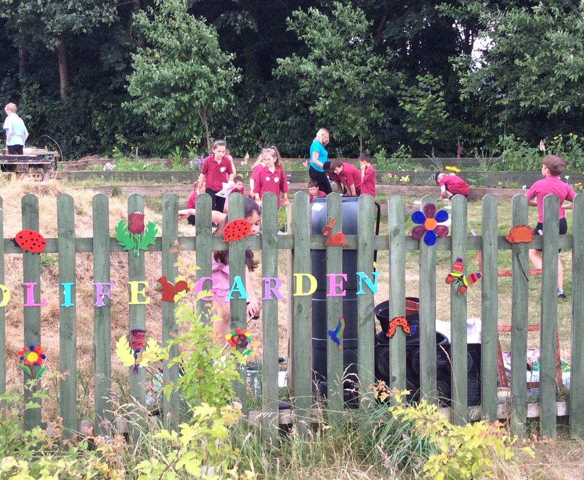 headtaverham's tweet photo. Nature club in action. Can you spot the frog in the pond?What a great job they’ve done rescuing the wildlife area-a big thank you to Mrs Jacks and Mrs Nabarro, and the PTFA for help buying plants etc. https://t.co/V5cNVvlefS