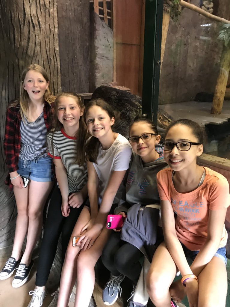 MrsHartNMS's tweet photo. Can you find the lizard? NMS at Capron Park Zoo #nmslancerslead #nospride https://t.co/zQtlYLktS9