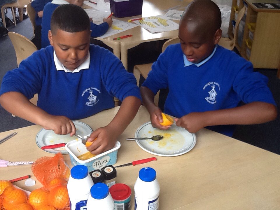 KensingPrimary's tweet photo. 4E had great fun mummifying oranges this afternoon #historyinpractice #mummification #orangeyoumummifiedyet #ancientegypt https://t.co/Q5cH9meVra