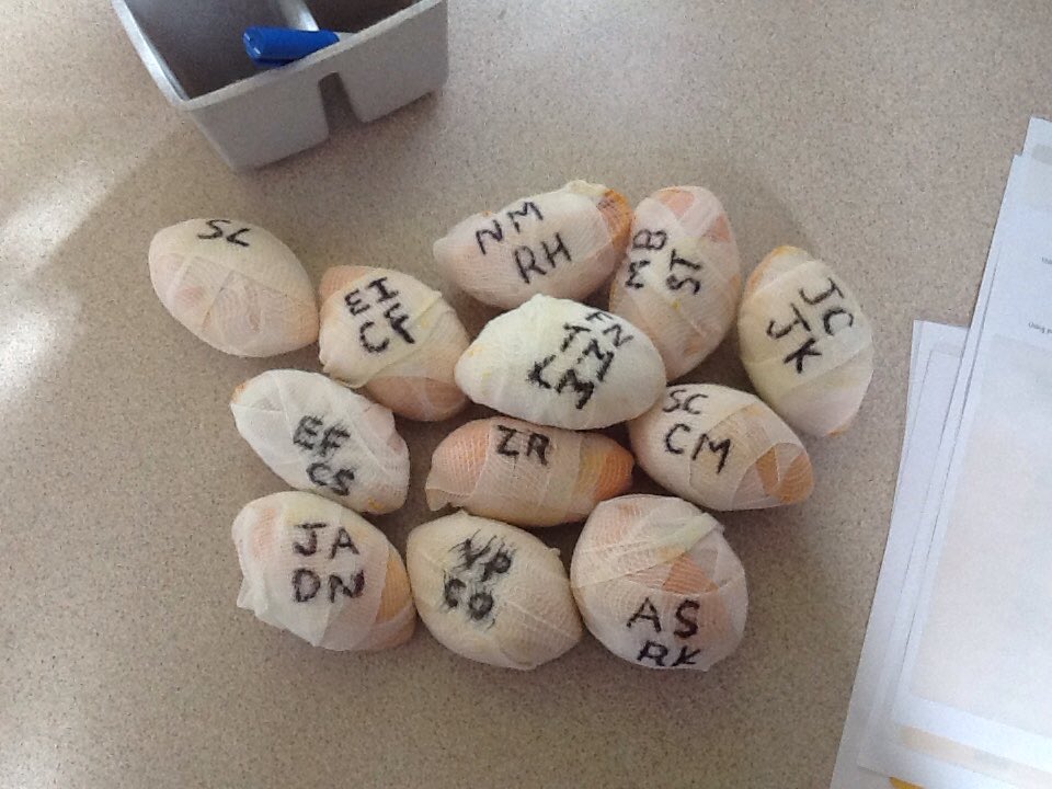 KensingPrimary's tweet photo. 4E had great fun mummifying oranges this afternoon #historyinpractice #mummification #orangeyoumummifiedyet #ancientegypt https://t.co/Q5cH9meVra