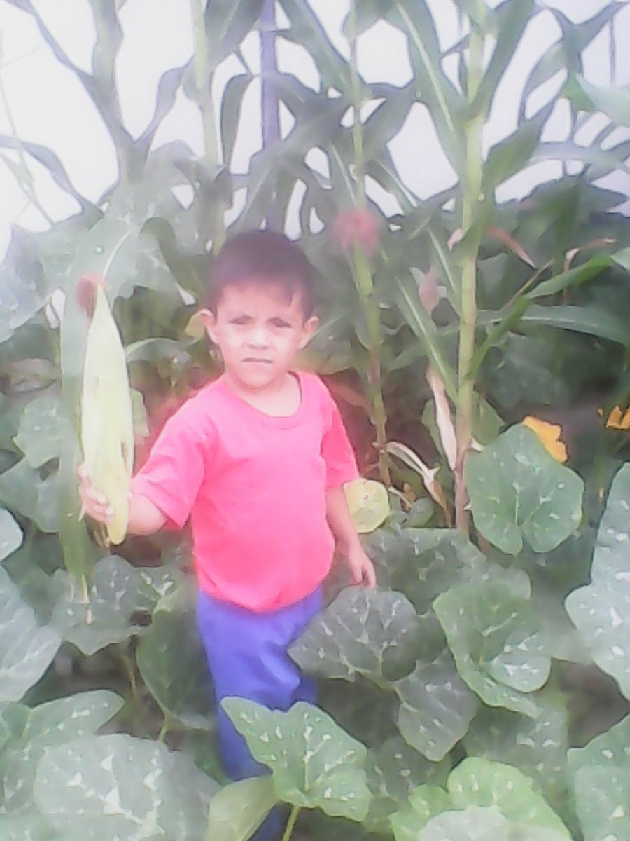 CEI_JacintoL's tweet photo. Sembremos y trabajemos por estos niñas y niños que hay aprenden para el mañana seguro en  #UnNuevoComienzo ¡Activarnos Venezuela por nuestra patria hermosa!  @NicolasMaduro @ConCiliaFlores @DPresidencia @ConCiliaFlores @magallyvina @oleisa2010  @ninosimon_Lara @gestionperfecta https://t.co/FYPisqaeMW