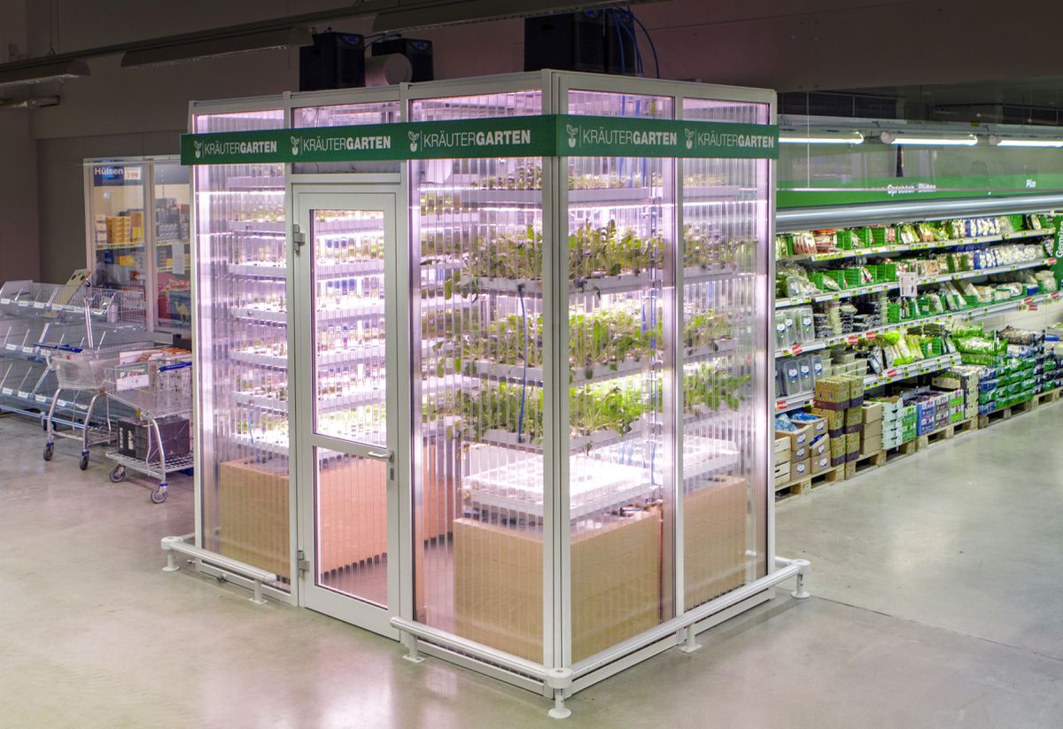ColchesterHydro's tweet photo. If you're looking for locally grown farm produce, your local farmers market or farm shop are usually your best bet. But one German supermarket has done something a little different by installing a "farm" within its store!

https://t.co/a495BkwIef #Hydroponics #ColchesterHydro https://t.co/kjxQpTDb4w