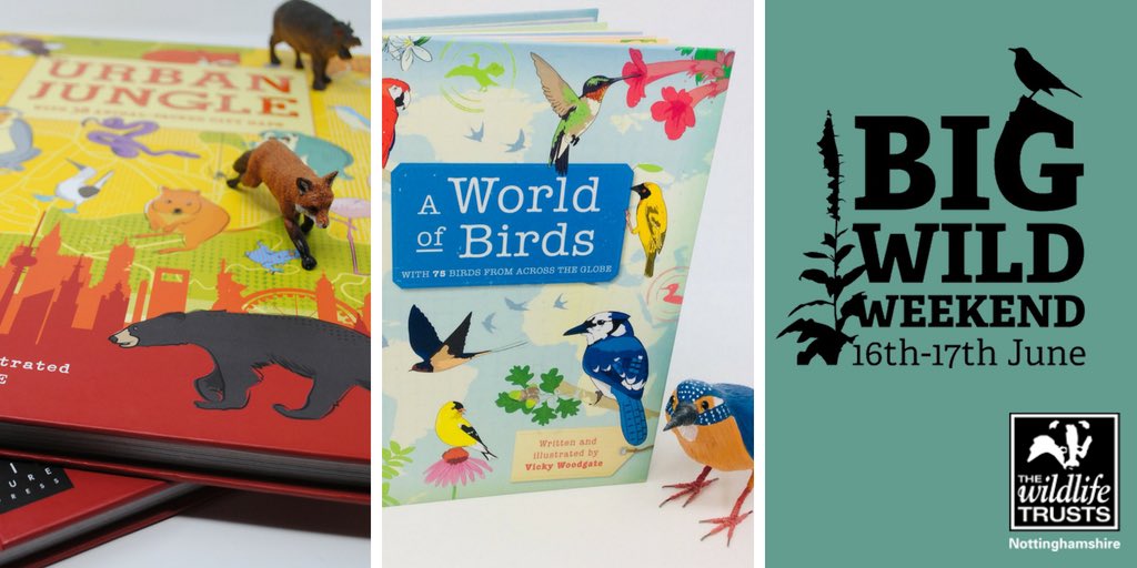 vickywoodgate's tweet photo. Come see me talk all about birds and urban wildlife at the #WildWeekend @Nottswildlife #30dayswild #Saturday @AttenboroughNR and #Sunday @IdleValleyChat and come get #creative with #maskmaking #birddrawing #animalquiz and more!! @BigPicturePress @WildlifeTrusts @TheBirdfair https://t.co/nQ6dk1C5wl