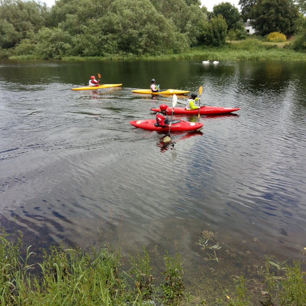 KayakSoi's tweet photo. Photo finish at our Kayak competition today! Nail biting stuff for the audience! 
@SOIreland #SOIreland #PlayYourPart https://t.co/lNCZt67HWb