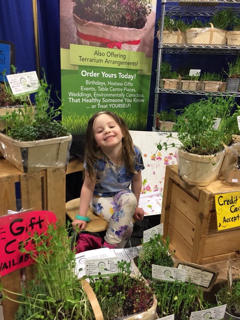 Tiny Greens Plant Shop tweet media
