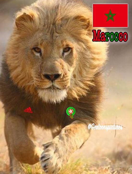 adidas maroc twitter