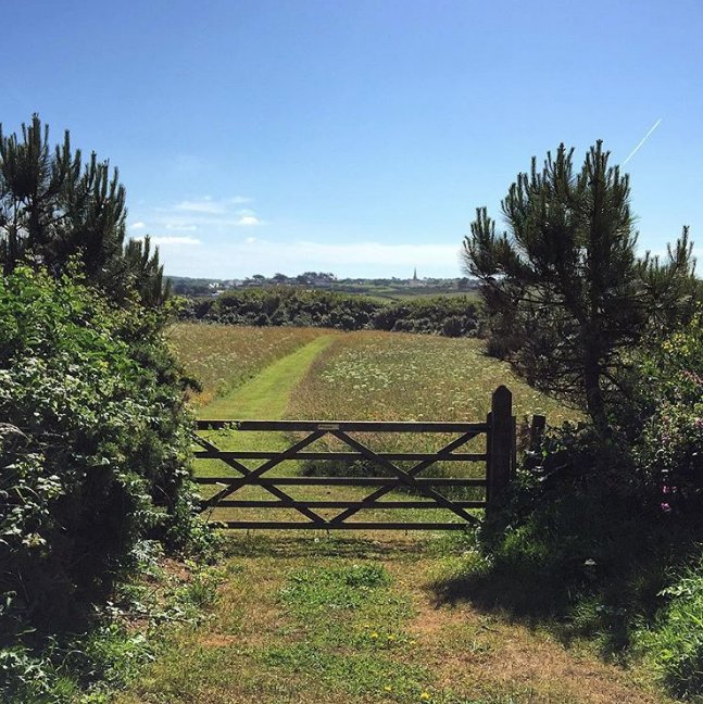 VisitGuernsey's tweet photo. You won't believe these pictures were taken in Guernsey - Part 2!  We recently shared a blog with some incredible photos of our Islands which you loved, so we've done it again! Check out our most recent blog for more fantastic images https://t.co/00vK8pJGZM #GoDoGreatThings https://t.co/2HSHKuTa2p