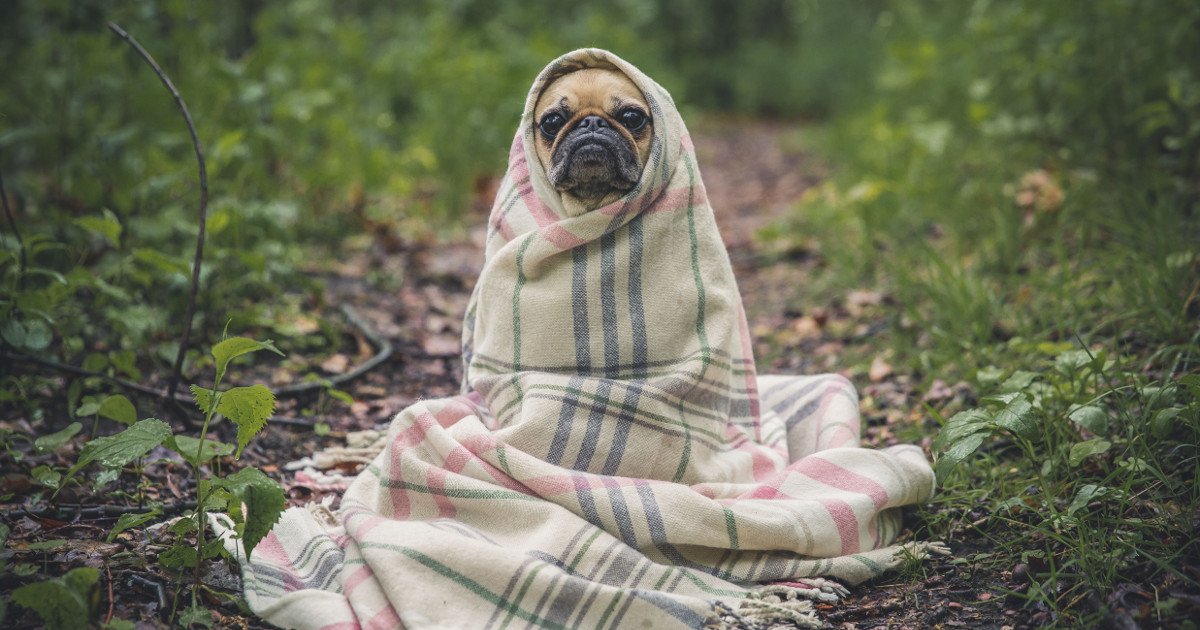 PubLaunch's tweet image. Feeling overwhelmed by crowdfunding? Tell us your questions (or your deep-seated fears)! We're planning out future blog posts so let us know what questions you want answered.