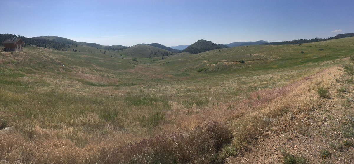 Trail status update for Centennial Cone Park: Elk Range trail is now open. Thank you for respecting the seasonal closure and protecting wildlife during elk calving. Happy Friday and be safe! <a href="/JeffcoOpenSpace/">Jeffco Parks & Open Space</a> #jeffcotrails