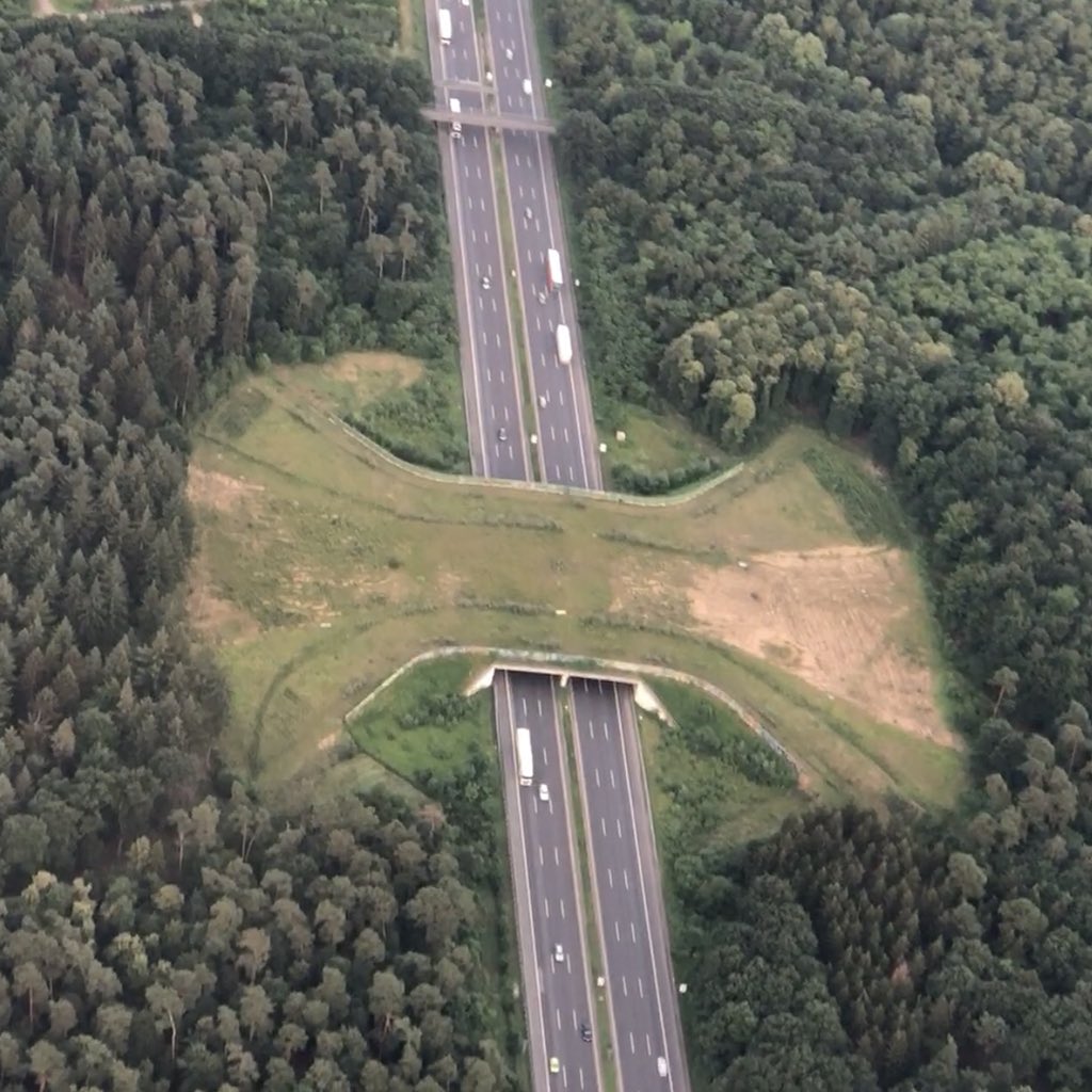 dhruv_rathee's tweet photo. Flying high up, I finally got to see the much famous “animal bridges” over highways in Germany. 

It’s meant for animals to cross over to other sides of forest, reducing the impact of highways on wildlife. 

Lack of such crossings caused 7700+ accidents in Indiq b/w 2012-2014. https://t.co/C6K94xkwOb