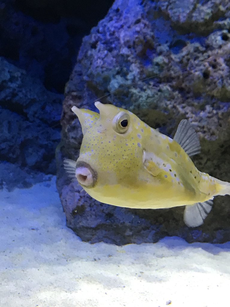 Only 3 seats remain for the <a href="/SCCE/">Society of Corporate Compliance and Ethics (SCCE)®</a> #singaporeComplainceAcademy next month!