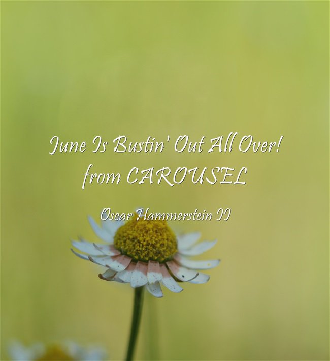 Happy last week of Spring. Happy June! #actingsongs