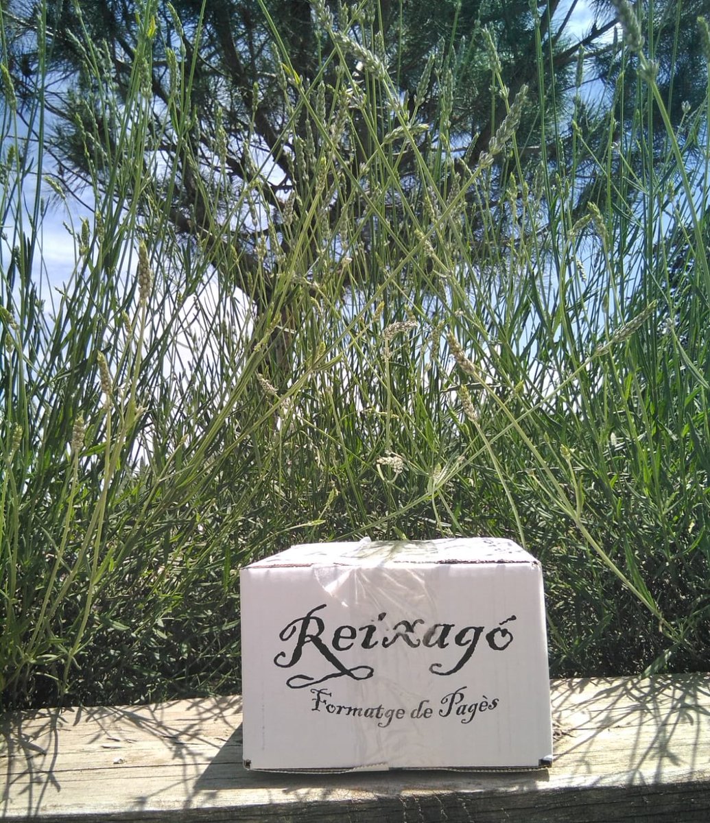 Recordeu: Demà inaugurem les piscines amb l'entrada gratuïta tot el dia!

Avui hem anat a buscar un formatge a Olost, a la Formatgeria Reixagó. Avui el servirem de postres: Blau de Jutglar amb vi de missa (4 €) 😊

#piscinesdecasserres #formatges #artesania #proximitat #qualitat