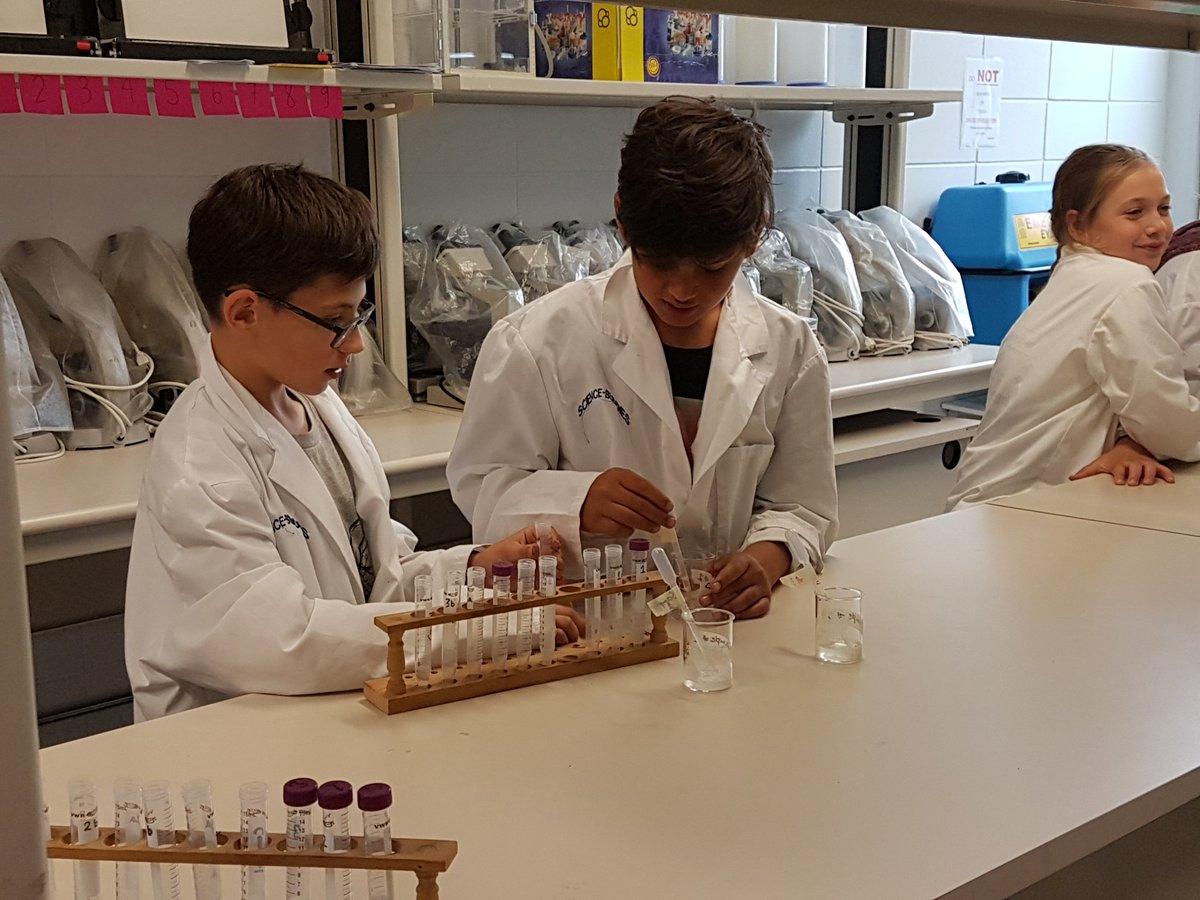 _Mrs_Foreman_'s tweet photo. Urine analysis at the Inner City Science Centre! https://t.co/5vPVQPa9H9