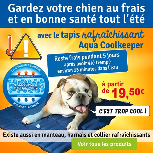 Gardez votre #chien au frais avec les tapis rafraîchissants Aqua Coolkeeper 🐶
Disponible sur auberdog.com