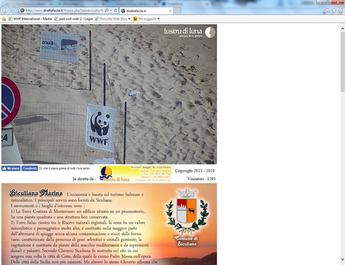 WWFitalia's tweet photo. #tartarughe
Siculiana #Sicilia: una #webcam per monitorare il primo nido 'svelato' della stagione (2 giugno)
e..aspettare la schiusa
Unisciti anche tu al #TurtleActionTeam del WWF
https://t.co/HJ67jz6QzP
#generazionemare
#IOSONOAMBIENTE #PFC
@donabianchi1 https://t.co/BsBwUz0seq