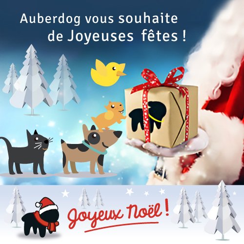 Joyeux Noël de la part de toute l'équipe ! #auberdog
