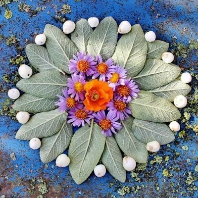 CelticFaerySeer's tweet photo. π±πΌπΊπΌπ± @celticfaeryseer
.
π· https://t.co/SAX8o1dyBz
.
#flowermandala #naturemandala #celticfaeryseer #flowergrid #naturegrid https://t.co/PyZ7cN0GyV