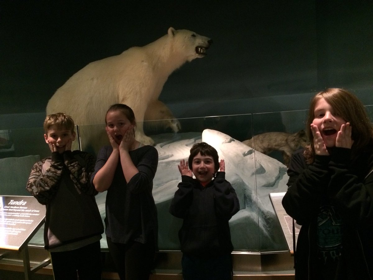 whitbourneelem's tweet photo. Grade 3/4 at the rooms and Devon House! #culuralconnections #craftcouncilnl https://t.co/PM71CmcdhV