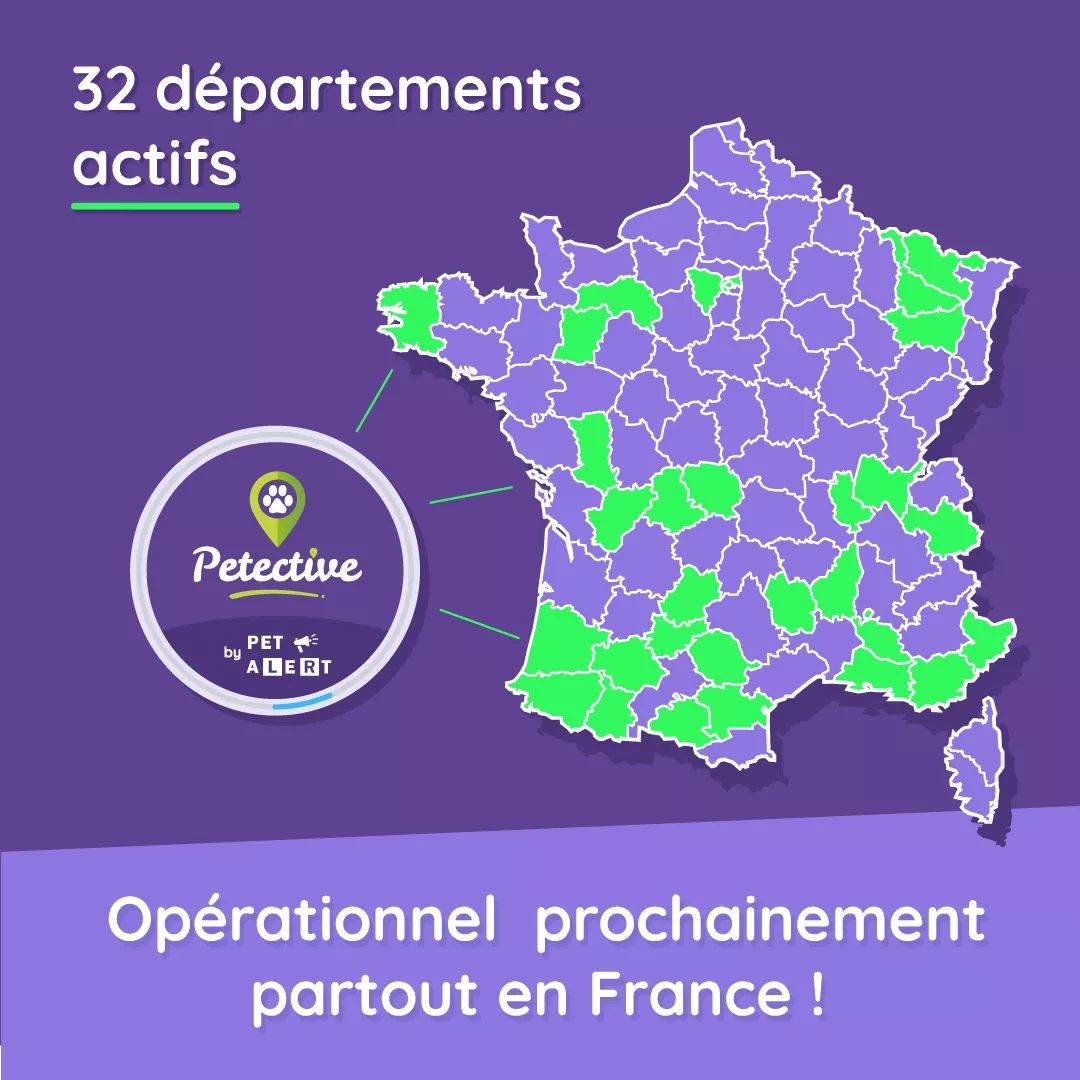 Petective_app's tweet photo. Petective s'associe avec Pet Alert pour maximiser les chances de retrouver votre animal perdu #chien #Chat #animaux #application https://t.co/r0Ct4bTpOk