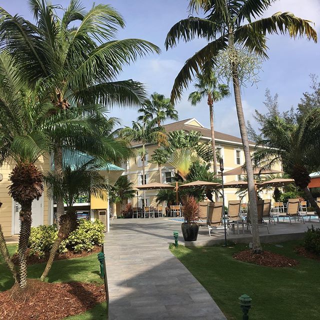 Kristin_B_Ford's tweet photo. Itβs a beautiful day in Grand Cayman, @cartermford says #myhighlander #flowersseaswim2018 https://t.co/fiB6Mcrw5y https://t.co/vxtrQHjjbH