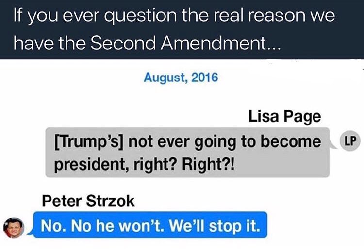 SafeWordApples's tweet photo. Just remember #PeterStrzok promised he’d make it so your vote didn’t count. Aaannnddd... he STILL has a job at the #FBI.   

#IGReport https://t.co/COfXyEhjtn